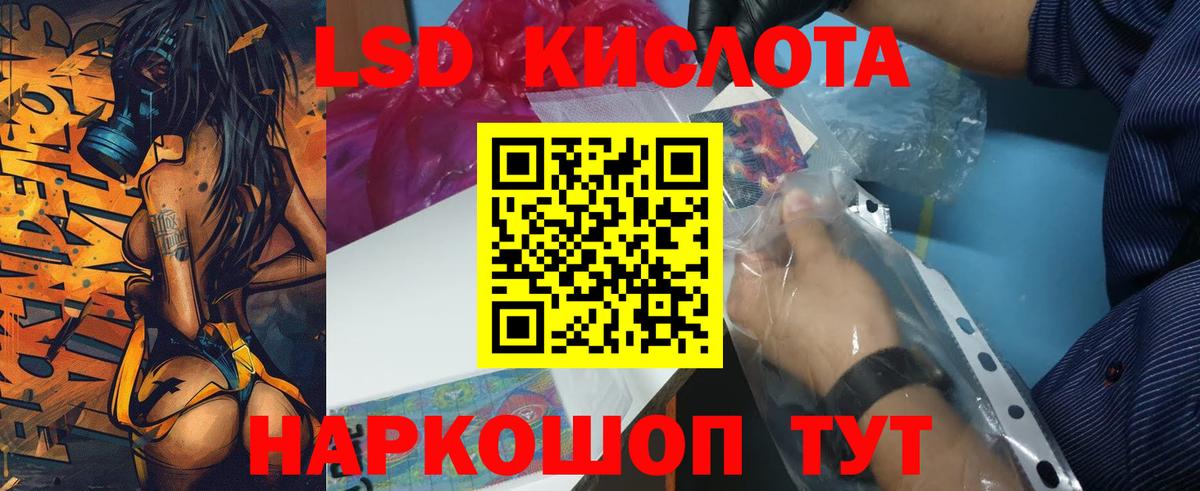 LSD-25 экстази кислота  ЛСД экстази кислота  ЛСД экстази  Каменка  Вход с VPN 